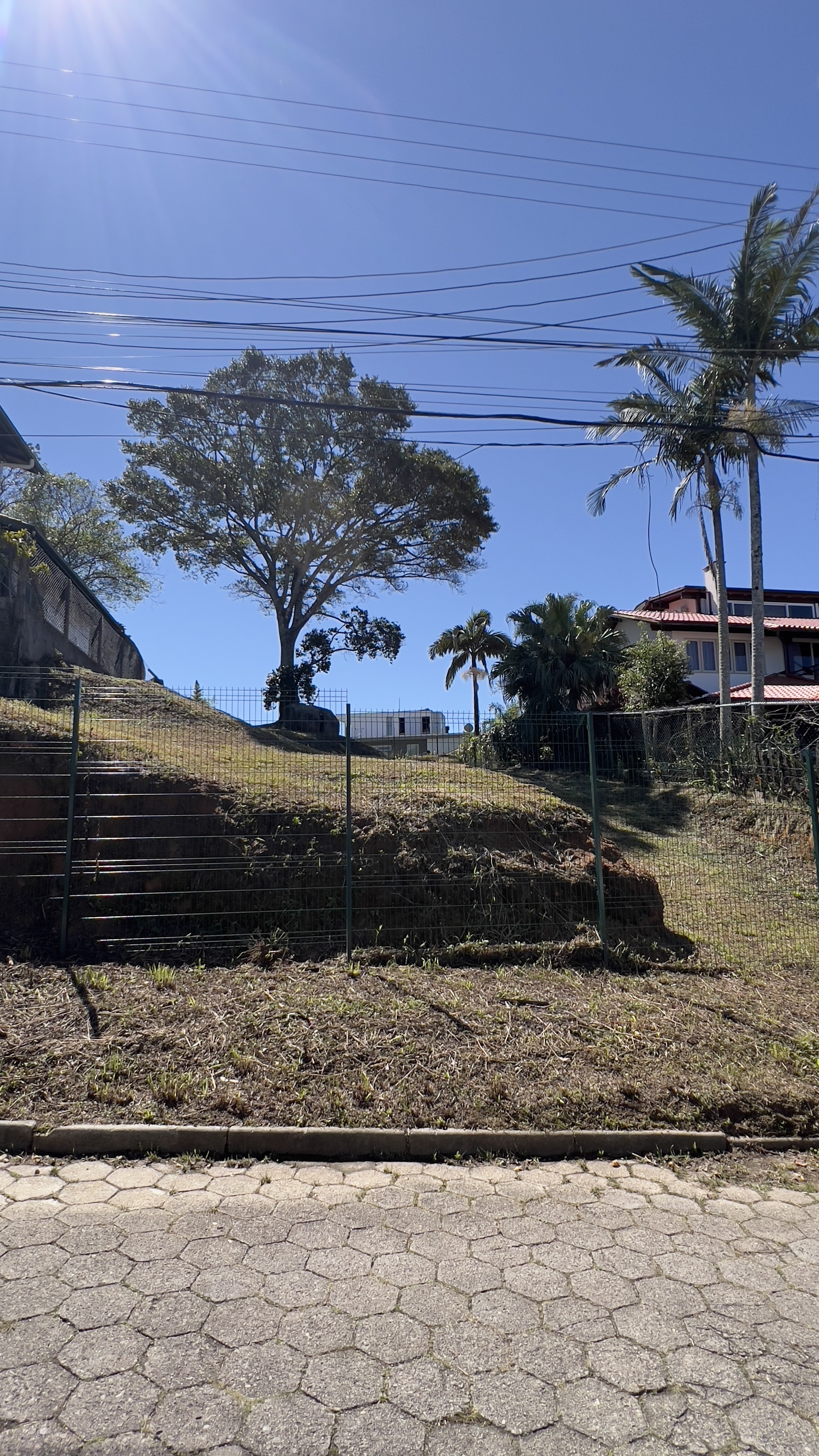 Terreno, 629 m² - Foto 3