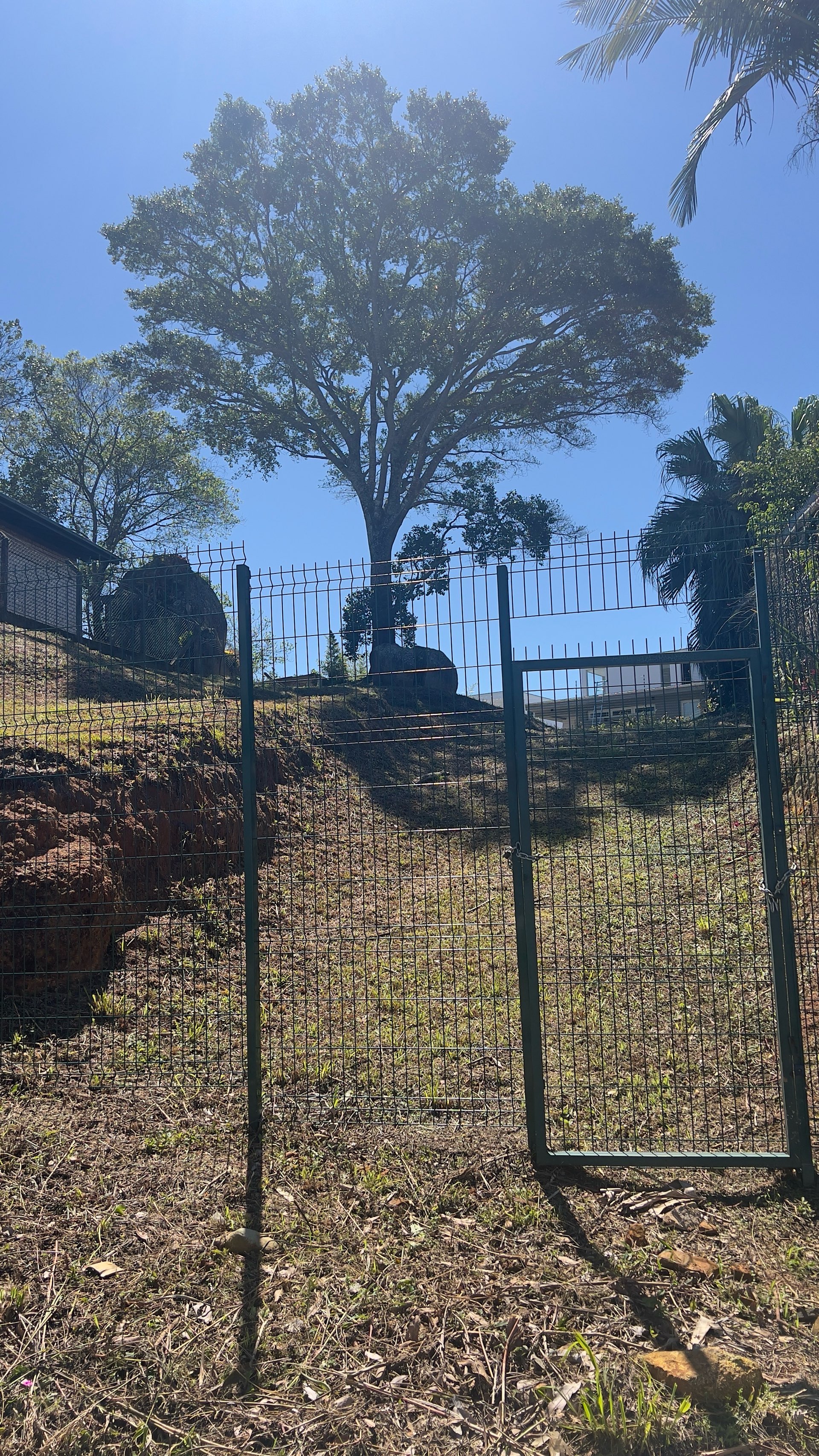 Terreno, 629 m² - Foto 5